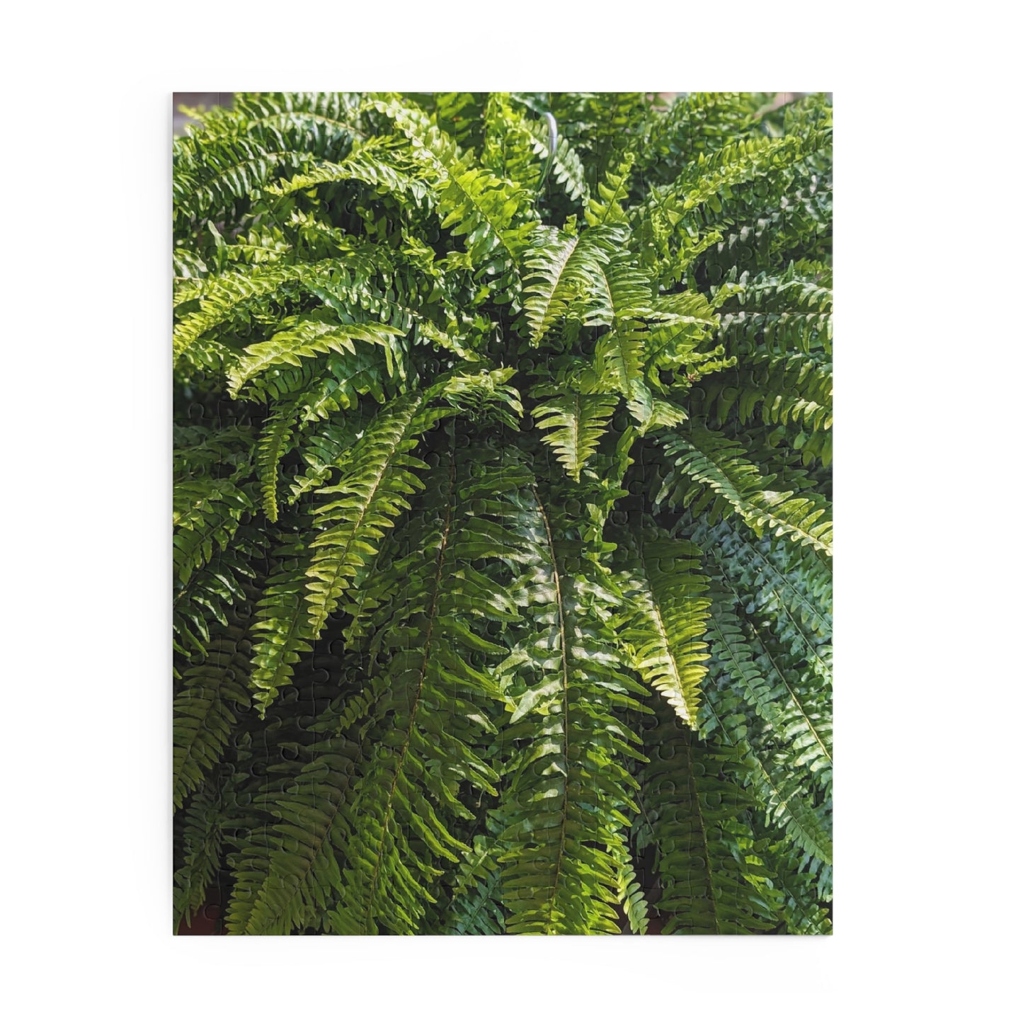Fern Fronds Jigsaw Puzzle — Lush Green Botanical 120/252/500-Piece Puzzle
