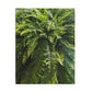 Fern Fronds Jigsaw Puzzle — Lush Green Botanical 120/252/500-Piece Puzzle