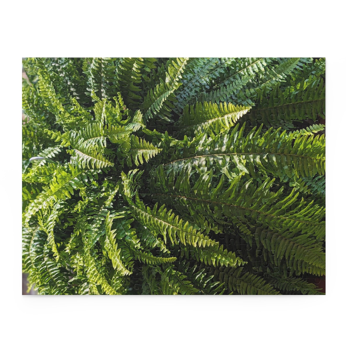 Fern Fronds Jigsaw Puzzle — Lush Green Botanical 120/252/500-Piece Puzzle