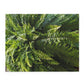 Fern Fronds Jigsaw Puzzle — Lush Green Botanical 120/252/500-Piece Puzzle
