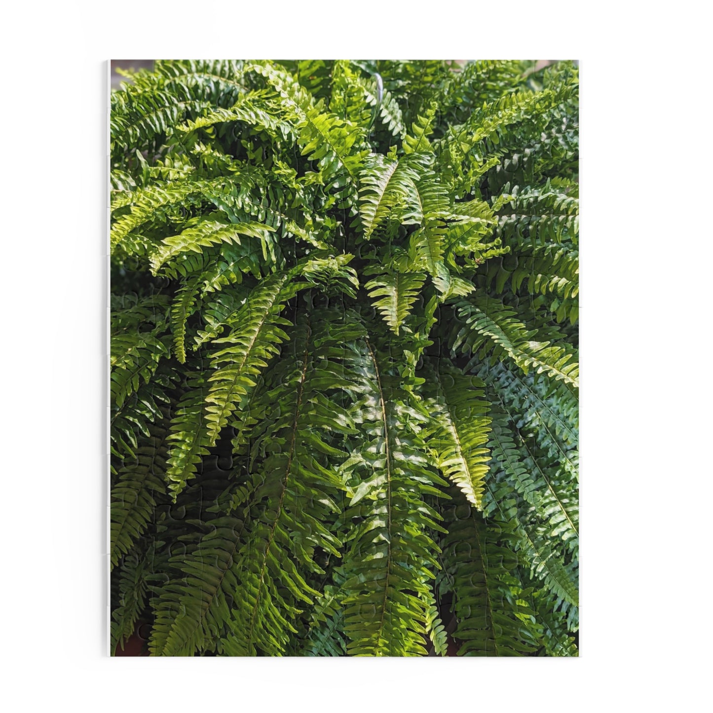 Fern Fronds Jigsaw Puzzle — Lush Green Botanical 120/252/500-Piece Puzzle
