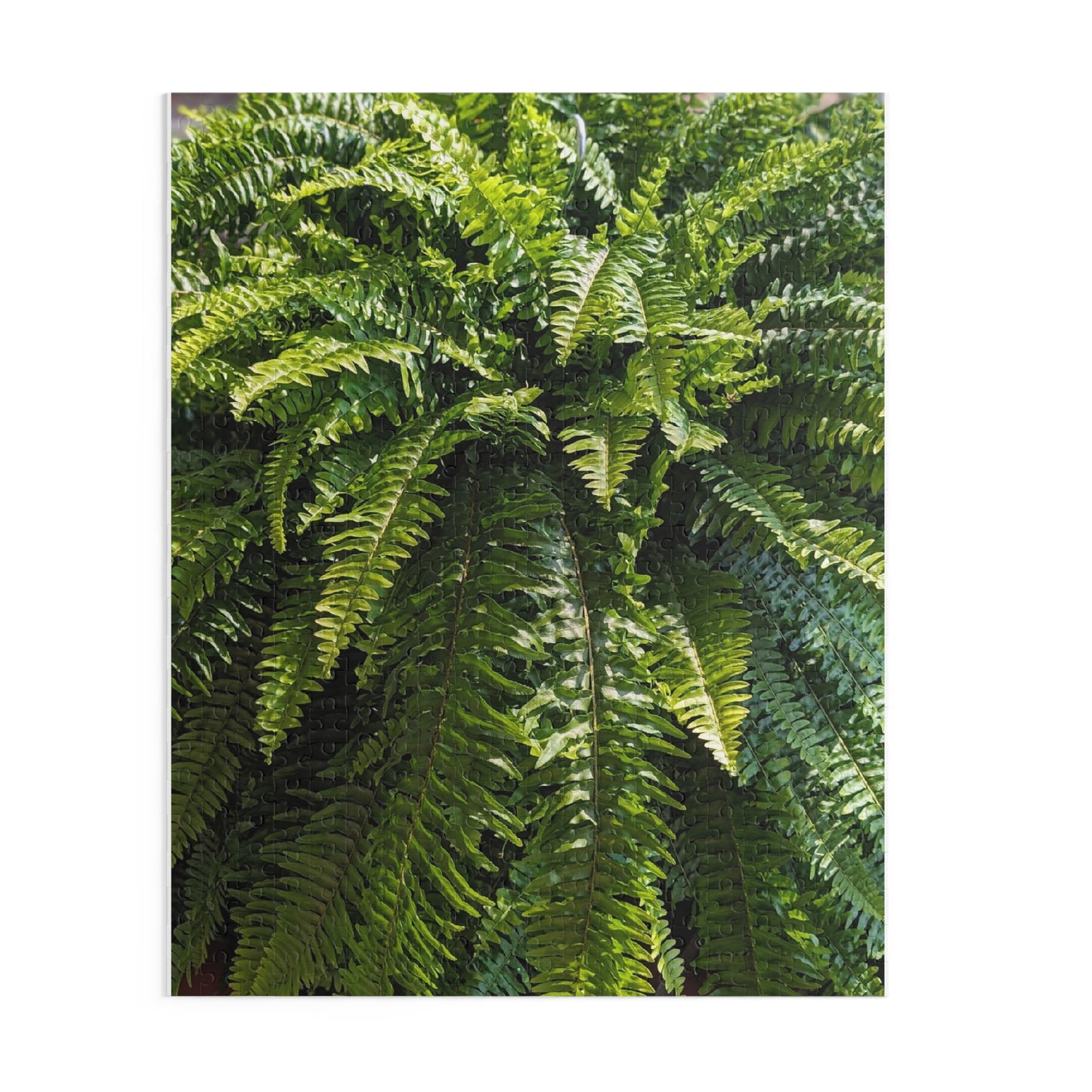 Fern Fronds Jigsaw Puzzle — Lush Green Botanical 120/252/500-Piece Puzzle