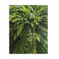 Fern Fronds Jigsaw Puzzle — Lush Green Botanical 120/252/500-Piece Puzzle