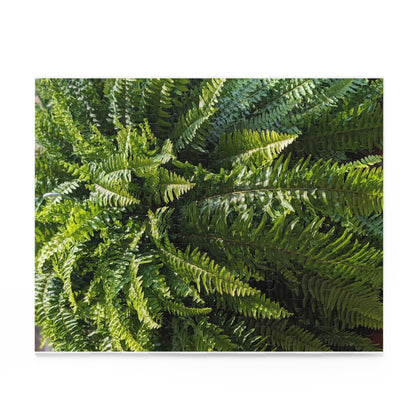 Fern Fronds Jigsaw Puzzle — Lush Green Botanical 120/252/500-Piece Puzzle