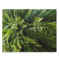 Fern Fronds Jigsaw Puzzle — Lush Green Botanical 120/252/500-Piece Puzzle