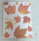 Thankful Pressed Leaf Card | Autumn Greeting Card | Blank Inside | Holiday Thankful Card